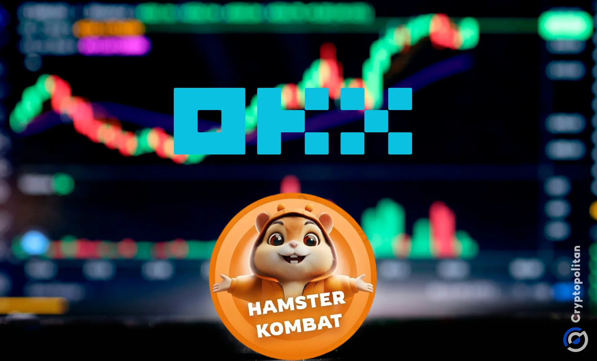 OKX创下今年新高，飙升幅高达OP%，还能否继续追涨？，引发热议-爱游戏官网